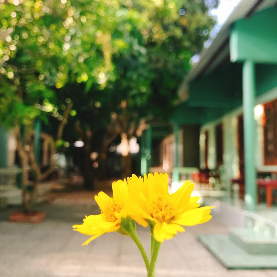 Anh Linh Guest House Mũi Né Exteriér fotografie